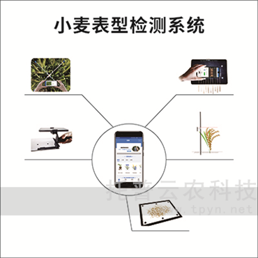 小麥表型檢測(cè)系統(tǒng)